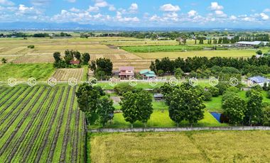 Paradise Awaits: Farm Lot for Sale in Arayat Pampanga