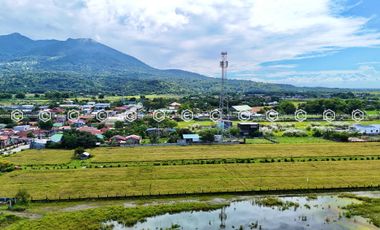 Paradise Awaits: Farm Lot for Sale in Arayat Pampanga