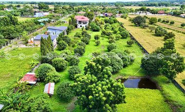 Paradise Awaits: Farm Lot for Sale in Arayat Pampanga