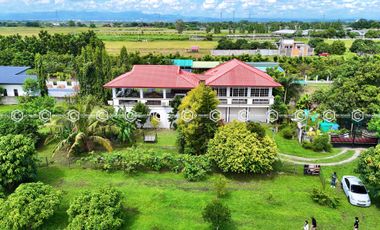 Paradise Awaits: Farm Lot for Sale in Arayat Pampanga
