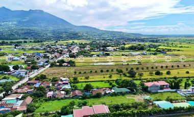 Paradise Awaits: Farm Lot for Sale in Arayat Pampanga