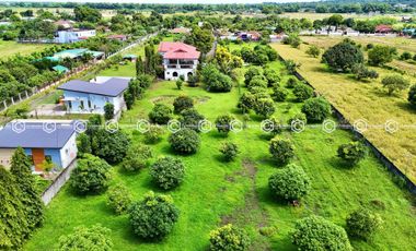 Paradise Awaits: Farm Lot for Sale in Arayat Pampanga