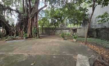 Ancestral House & Lot near Mall of Asia, Pasay City
