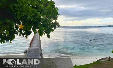 Luxury Living at Playa Azalea: 264 sqm Lot in Samal