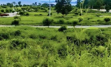 Luxury Living at Playa Azalea: 264 sqm Lot in Samal