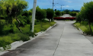 Luxury Living at Playa Azalea: 264 sqm Lot in Samal