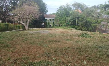 Residential Lot FOR SALE at Luna, La Union
