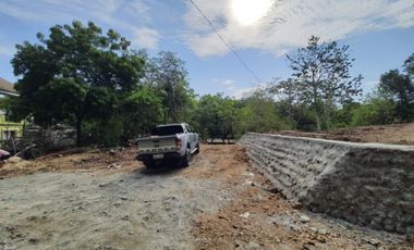 Residential Lot FOR SALE at Luna, La Union