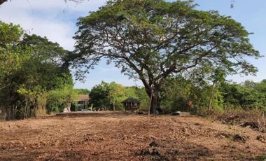 Residential Lot FOR SALE at Luna, La Union