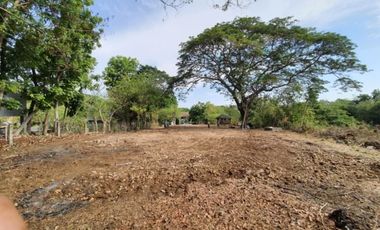 Residential Lot FOR SALE at Luna, La Union