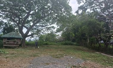 Residential Lot FOR SALE at Luna, La Union