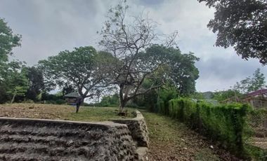 Residential Lot FOR SALE at Luna, La Union