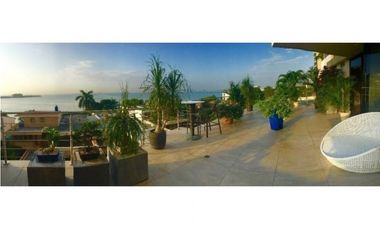 ALQUILO APARTAMENTO PUNTA PAITILLA