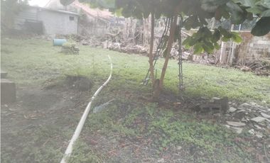 PARQUE LEFEVRE / TERRENO COMERCIAL / 800M / CON LOCAL