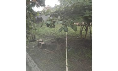 PARQUE LEFEVRE / TERRENO COMERCIAL / 800M / CON LOCAL