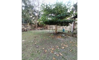 PARQUE LEFEVRE / TERRENO COMERCIAL / 800M / CON LOCAL