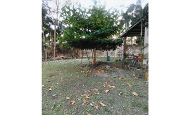 PARQUE LEFEVRE / TERRENO COMERCIAL / 800M / CON LOCAL