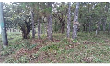 CERRO AZUL / TERRENO /  1178M / CLIMA FRIO