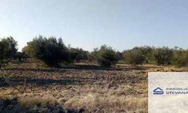 Terreno / Lote en venta de 3652.68m2 ubicado en Maipú