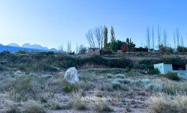 OPORTUNIDAD- LOTE EN VENTA EN COLONIA SUIZA 1000M2- ESCRITURA INMEDIATA