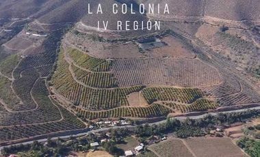 Parcela en venta en ILLAPEL