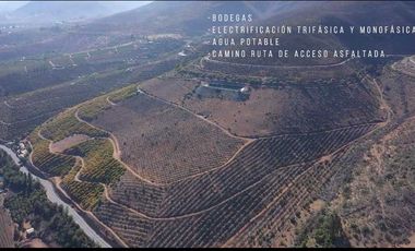 Parcela en venta en ILLAPEL