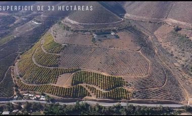 Parcela en venta en ILLAPEL