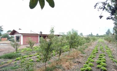 Parcela en venta en COLTAUCO
