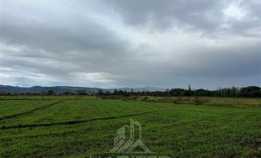 Agrícola en Venta en Sector Bustamante