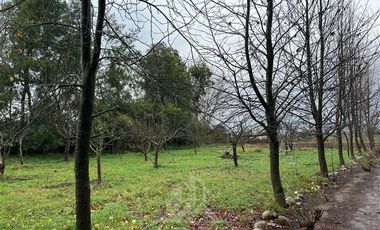 Agrícola en Venta en Sector Bustamante