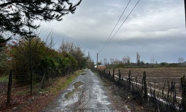 Agrícola en Venta en Sector Bustamante