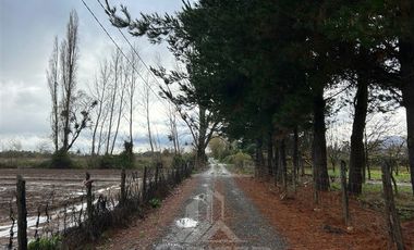 Agrícola en Venta en Sector Bustamante