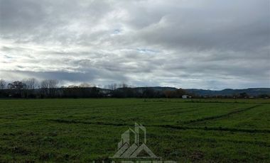 Agrícola en Venta en Sector Bustamante
