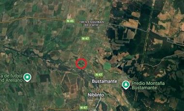 Agrícola en Venta en Sector Bustamante