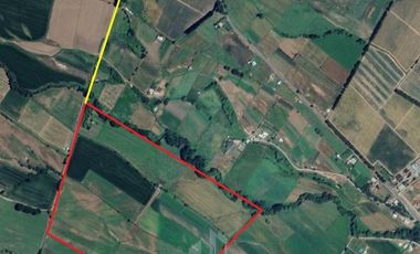 Agrícola en Venta en Sector Bustamante