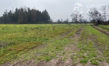 Terreno Construccion  en Venta en piedra banca