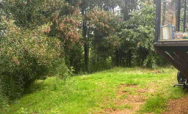 EN ARRIENDO PARCELA CON CASA SECTOR PICHIHUAPE  VALDIVIA