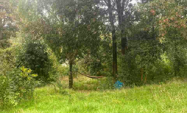 EN ARRIENDO PARCELA CON CASA SECTOR PICHIHUAPE  VALDIVIA