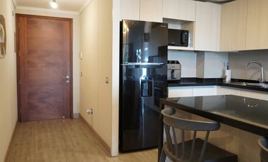 Venta Impecable 2 habitaciones 2 baños estacionamiento y bodega La Reina