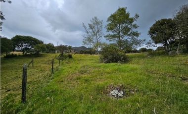 Finca productiva Autosostenible La Dorada