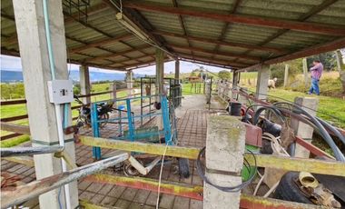 Finca productiva Autosostenible La Dorada
