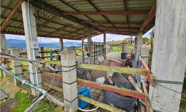 Finca productiva Autosostenible La Dorada