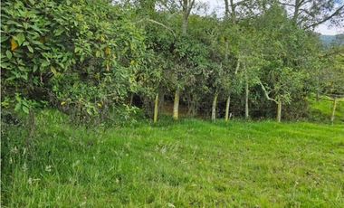 Finca productiva Autosostenible La Dorada