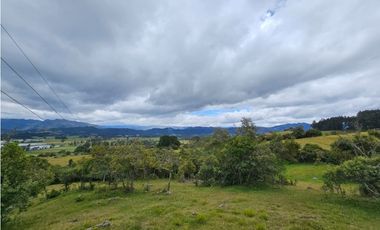 Finca productiva Autosostenible La Dorada