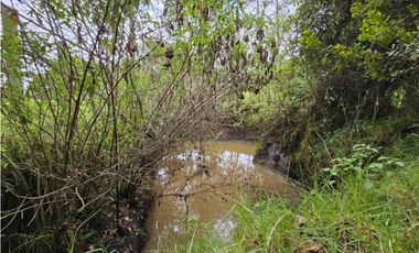 Finca productiva Autosostenible La Dorada