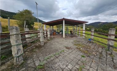 Finca productiva Autosostenible La Dorada
