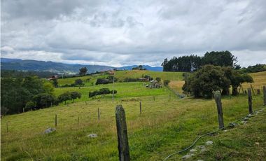 Finca productiva Autosostenible La Dorada