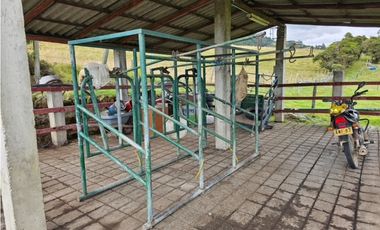 Finca productiva Autosostenible La Dorada