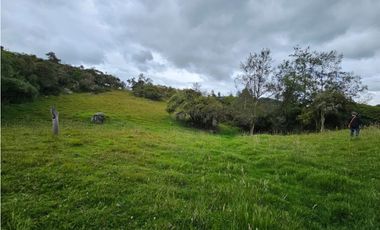 Finca productiva Autosostenible La Dorada