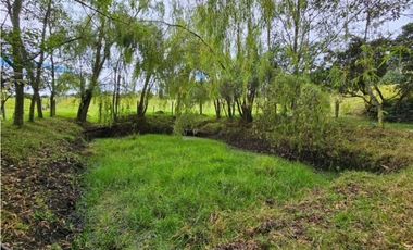 Finca productiva Autosostenible La Dorada